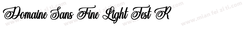 Domaine Sans Fine Light Test Regula字体转换